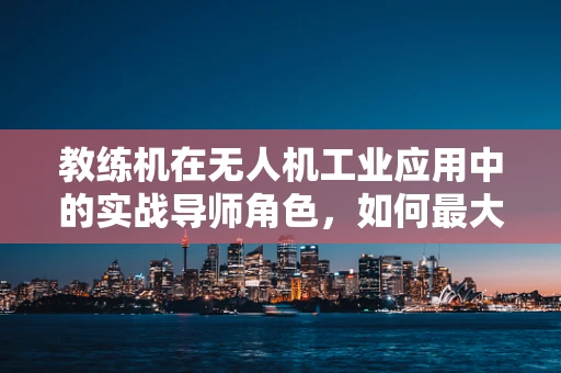 教练机在无人机工业应用中的实战导师角色，如何最大化其训练效率？
