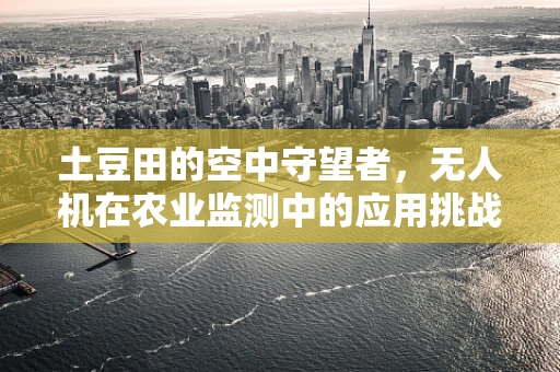 土豆田的空中守望者，无人机在农业监测中的应用挑战