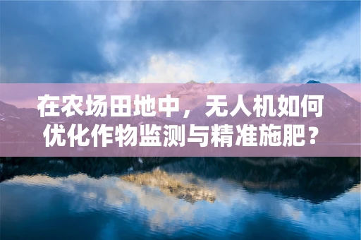 在农场田地中，无人机如何优化作物监测与精准施肥？