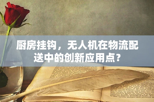 厨房挂钩，无人机在物流配送中的创新应用点？