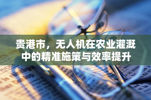 贵港市，无人机在农业灌溉中的精准施策与效率提升