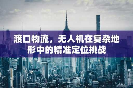 渡口物流，无人机在复杂地形中的精准定位挑战
