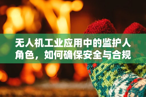 无人机工业应用中的监护人角色，如何确保安全与合规？