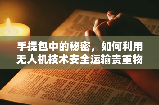 手提包中的秘密，如何利用无人机技术安全运输贵重物品？