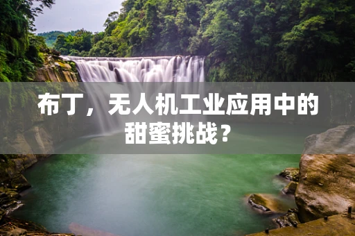 布丁，无人机工业应用中的甜蜜挑战？