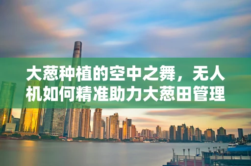 大葱种植的空中之舞，无人机如何精准助力大葱田管理？