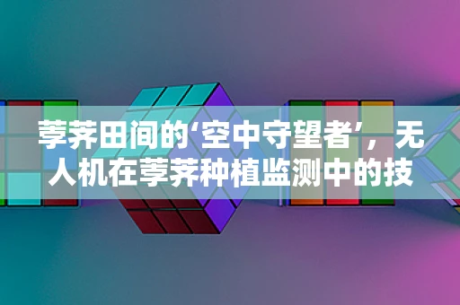 荸荠田间的‘空中守望者’，无人机在荸荠种植监测中的技术挑战