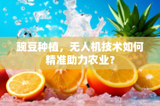 豌豆种植，无人机技术如何精准助力农业？
