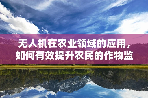 无人机在农业领域的应用，如何有效提升农民的作物监测效率？