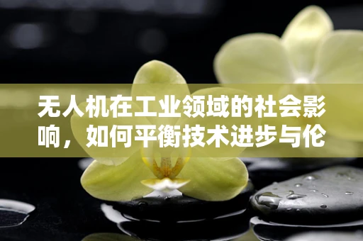 无人机在工业领域的社会影响，如何平衡技术进步与伦理考量？