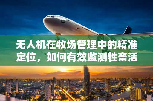 无人机在牧场管理中的精准定位，如何有效监测牲畜活动与健康状况？