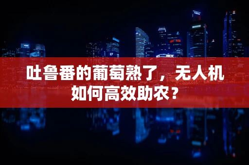 吐鲁番的葡萄熟了，无人机如何高效助农？