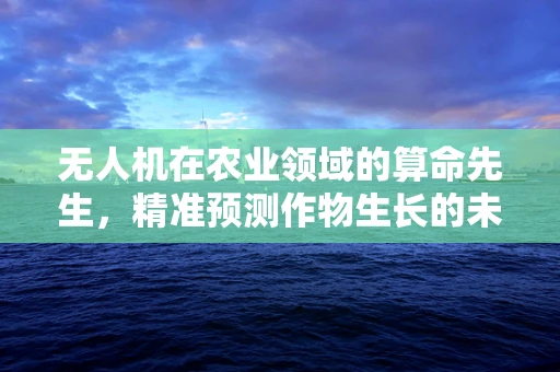 无人机在农业领域的算命先生，精准预测作物生长的未来