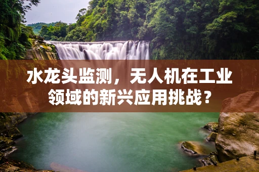 水龙头监测，无人机在工业领域的新兴应用挑战？