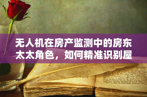 无人机在房产监测中的房东太太角色，如何精准识别屋顶漏水隐患？