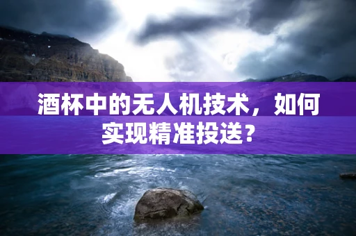 酒杯中的无人机技术，如何实现精准投送？