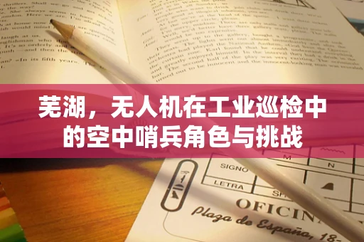 芜湖，无人机在工业巡检中的空中哨兵角色与挑战