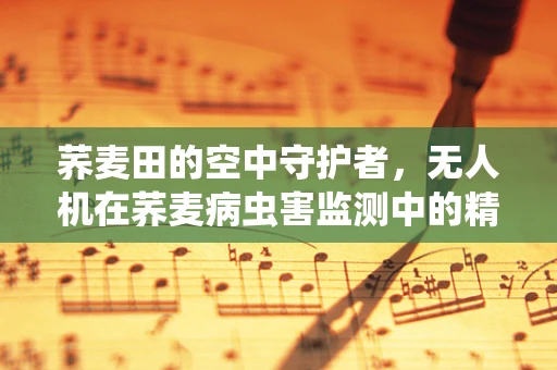 荞麦田的空中守护者，无人机在荞麦病虫害监测中的精准应用挑战