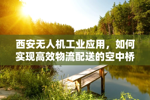 西安无人机工业应用，如何实现高效物流配送的空中桥梁？