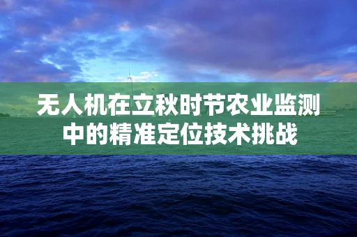 无人机在立秋时节农业监测中的精准定位技术挑战