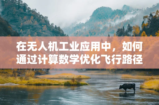 在无人机工业应用中，如何通过计算数学优化飞行路径？