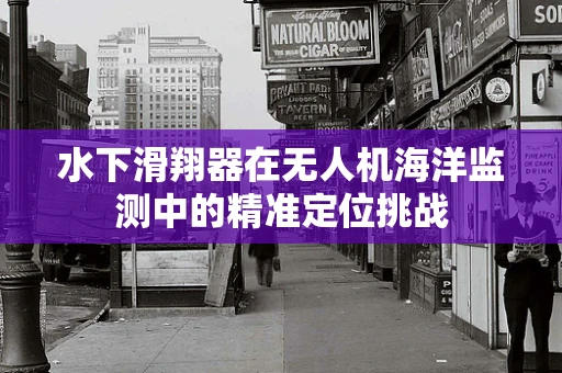 水下滑翔器在无人机海洋监测中的精准定位挑战