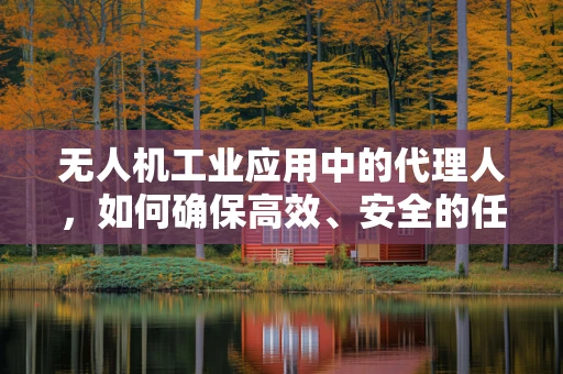 无人机工业应用中的代理人，如何确保高效、安全的任务执行？