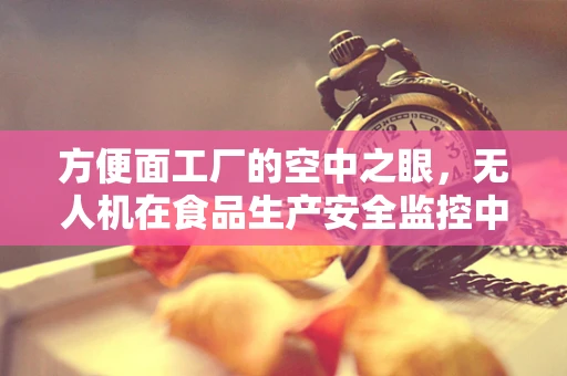 方便面工厂的空中之眼，无人机在食品生产安全监控中的应用