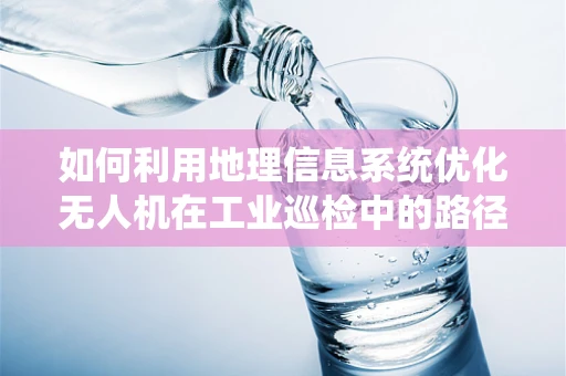如何利用地理信息系统优化无人机在工业巡检中的路径规划？