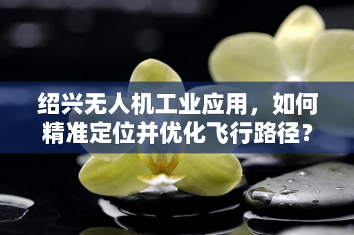 绍兴无人机工业应用，如何精准定位并优化飞行路径？