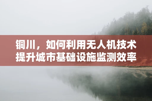 铜川，如何利用无人机技术提升城市基础设施监测效率？