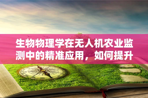 生物物理学在无人机农业监测中的精准应用，如何提升作物健康监测的准确性？