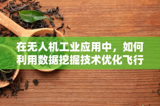 在无人机工业应用中，如何利用数据挖掘技术优化飞行路径？