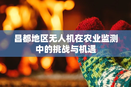 昌都地区无人机在农业监测中的挑战与机遇