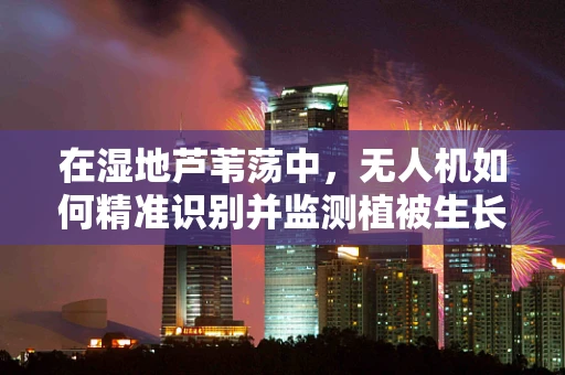 在湿地芦苇荡中，无人机如何精准识别并监测植被生长？