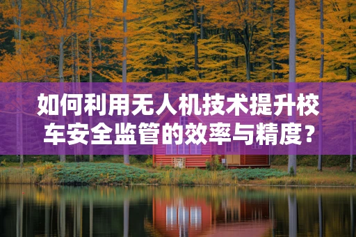 如何利用无人机技术提升校车安全监管的效率与精度？