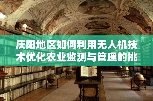 庆阳地区如何利用无人机技术优化农业监测与管理的挑战与机遇？