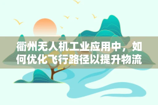 衢州无人机工业应用中，如何优化飞行路径以提升物流效率？