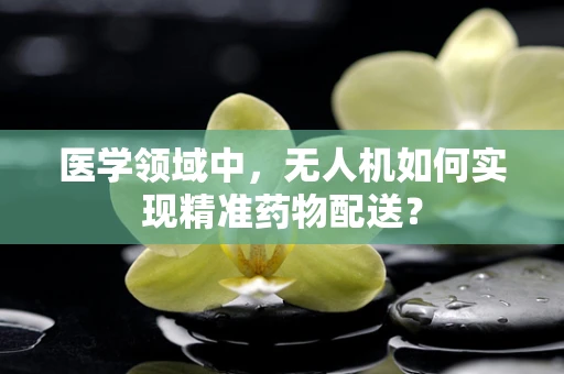 医学领域中，无人机如何实现精准药物配送？