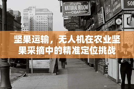 坚果运输，无人机在农业坚果采摘中的精准定位挑战