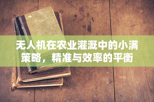 无人机在农业灌溉中的小满策略，精准与效率的平衡