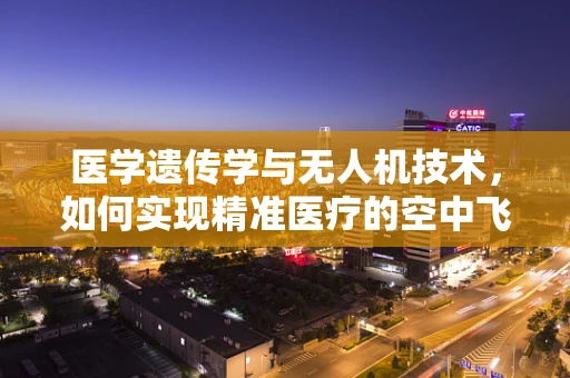 医学遗传学与无人机技术，如何实现精准医疗的空中飞跃？