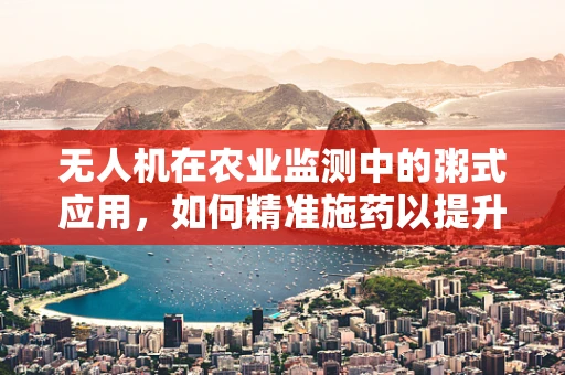无人机在农业监测中的粥式应用，如何精准施药以提升效率？
