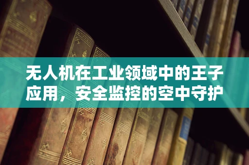 无人机在工业领域中的王子应用，安全监控的空中守护者？