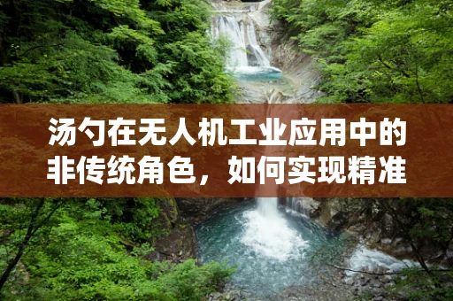 汤勺在无人机工业应用中的非传统角色，如何实现精准投放？