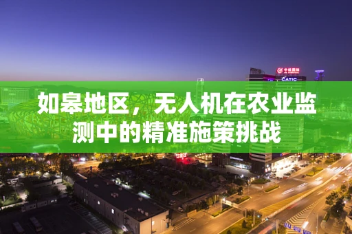如皋地区，无人机在农业监测中的精准施策挑战