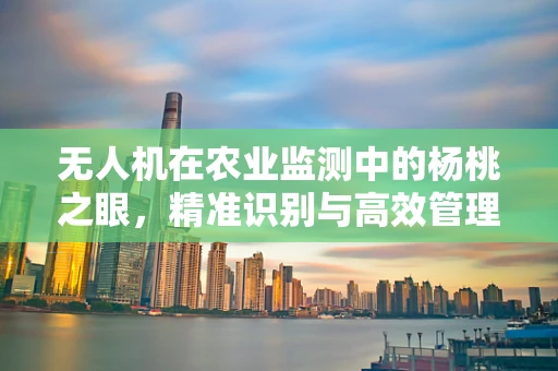 无人机在农业监测中的杨桃之眼，精准识别与高效管理的挑战
