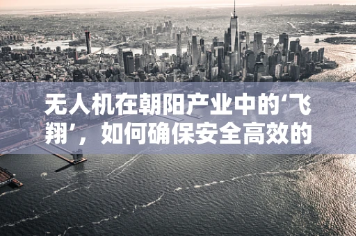 无人机在朝阳产业中的‘飞翔’，如何确保安全高效的应用？