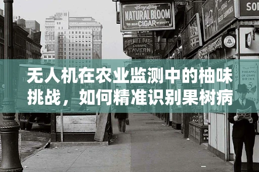 无人机在农业监测中的柚味挑战，如何精准识别果树病虫害？