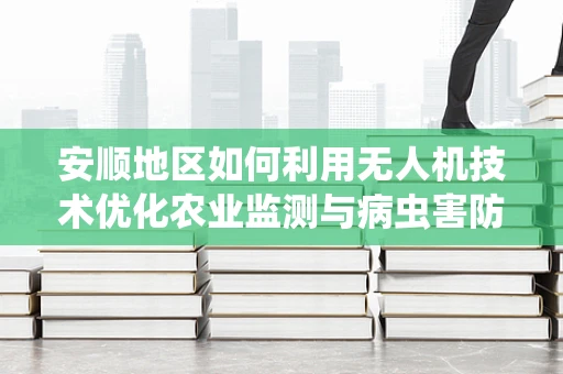 安顺地区如何利用无人机技术优化农业监测与病虫害防治？